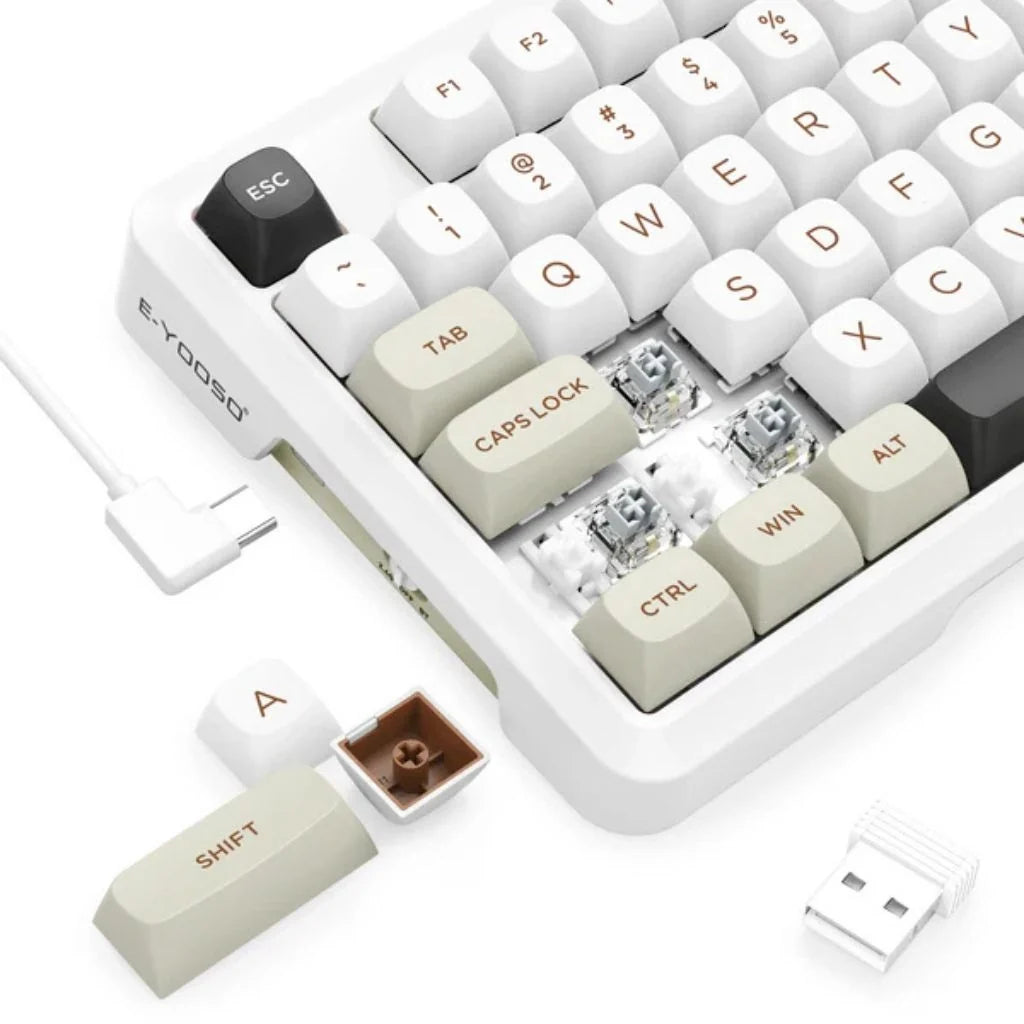 E-Yooso Z-82 RGB 81-Keys Tri-Mode RGB Keyboard